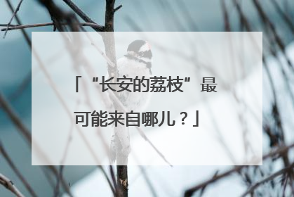 “长安的荔枝”最可能来自哪儿？