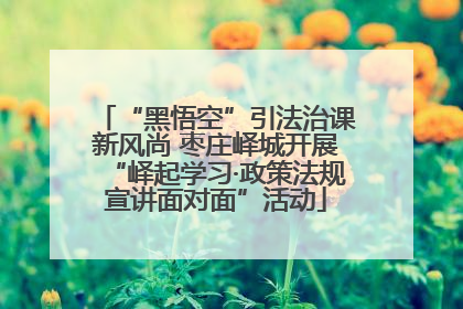 “黑悟空”引法治课新风尚 枣庄峄城开展“峄起学习·政策法规宣讲面对面”活动