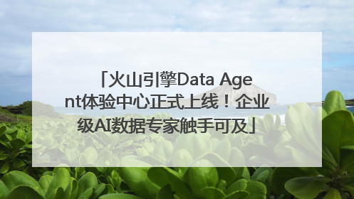 火山引擎Data Agent体验中心正式上线！企业级AI数据专家触手可及