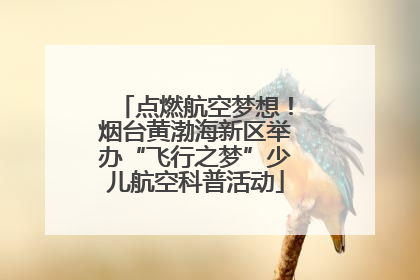 点燃航空梦想！烟台黄渤海新区举办“飞行之梦”少儿航空科普活动