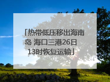 热带低压移出海南岛 海口三港26日13时恢复运输