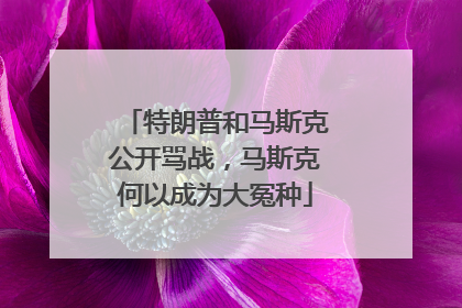 特朗普和马斯克公开骂战，马斯克何以成为大冤种