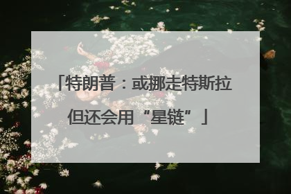 特朗普：或挪走特斯拉 但还会用“星链”