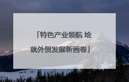 特色产业领航 绘就外贸发展新画卷