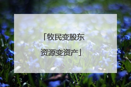 牧民变股东 资源变资产