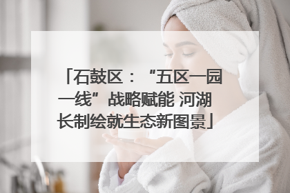 石鼓区：“五区一园一线”战略赋能 河湖长制绘就生态新图景