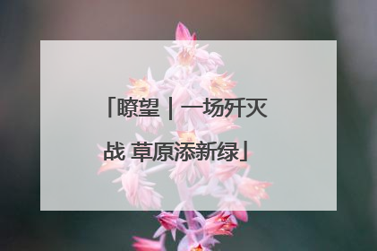 瞭望｜一场歼灭战 草原添新绿