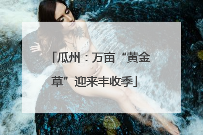瓜州：万亩“黄金草”迎来丰收季
