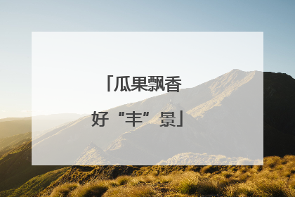 瓜果飘香 好“丰”景
