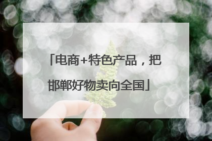 电商+特色产品，把邯郸好物卖向全国