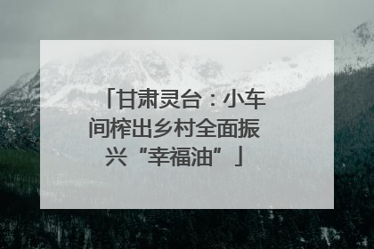 甘肃灵台：小车间榨出乡村全面振兴“幸福油”
