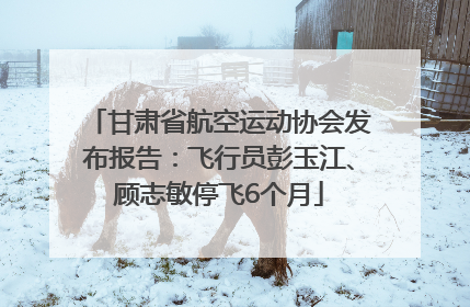 甘肃省航空运动协会发布报告：飞行员彭玉江、顾志敏停飞6个月