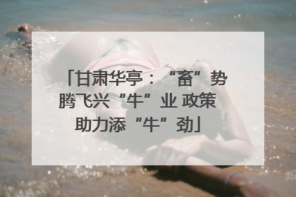甘肃华亭：“畜”势腾飞兴“牛”业 政策助力添“牛”劲