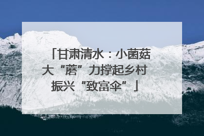 甘肃清水：小菌菇大“蘑”力撑起乡村振兴“致富伞”
