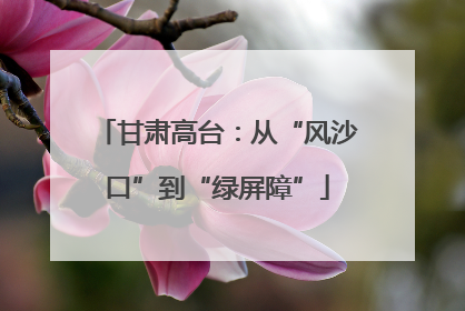 甘肃高台：从“风沙口”到“绿屏障”