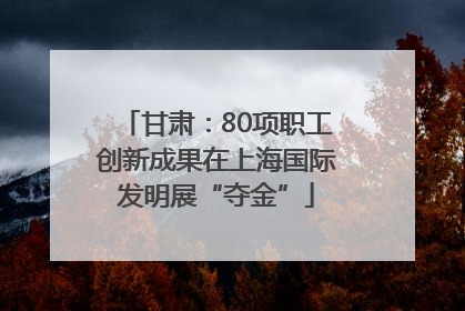 甘肃：80项职工创新成果在上海国际发明展“夺金”