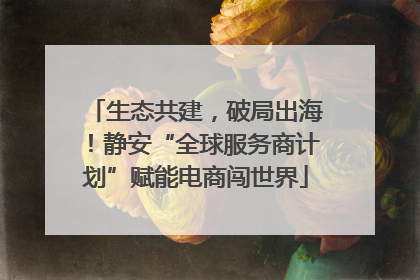 生态共建，破局出海！静安“全球服务商计划”赋能电商闯世界