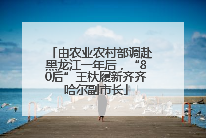 由农业农村部调赴黑龙江一年后，“80后”王杕履新齐齐哈尔副市长