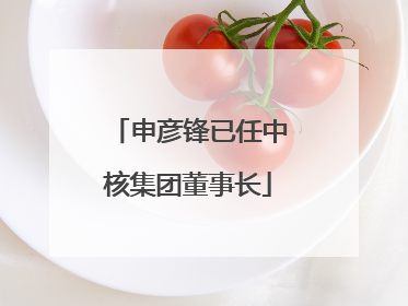 申彦锋已任中核集团董事长