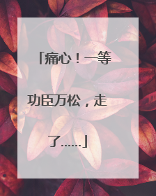 痛心！一等功臣万松，走了……