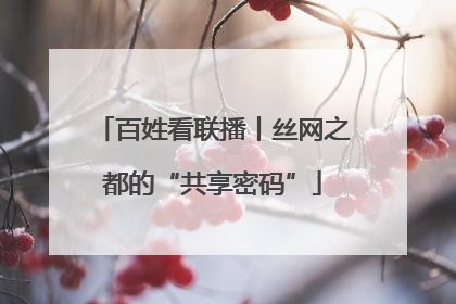 百姓看联播丨丝网之都的“共享密码”