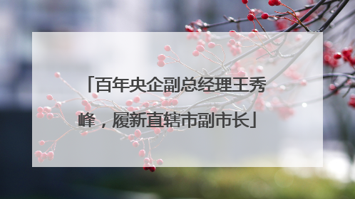 百年央企副总经理王秀峰，履新直辖市副市长