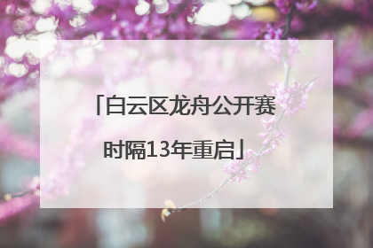 白云区龙舟公开赛时隔13年重启