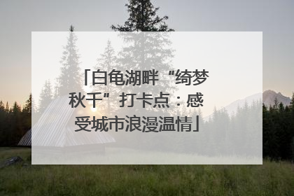 白龟湖畔“绮梦秋千”打卡点：感受城市浪漫温情