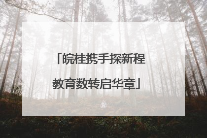 皖桂携手探新程 教育数转启华章
