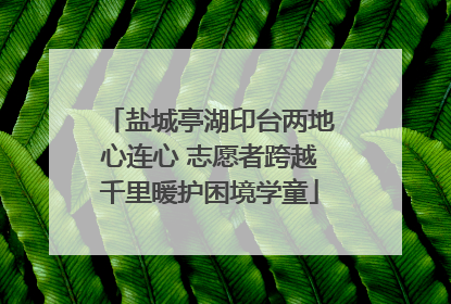 盐城亭湖印台两地心连心 志愿者跨越千里暖护困境学童