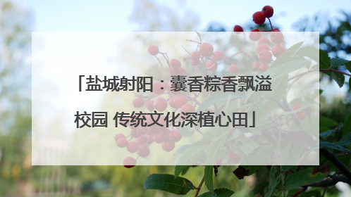 盐城射阳：囊香粽香飘溢校园 传统文化深植心田