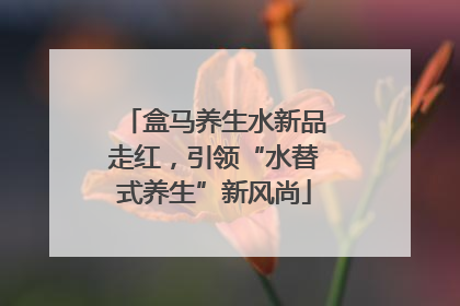盒马养生水新品走红，引领“水替式养生”新风尚