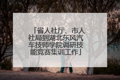 省人社厅、市人社局到湖北东风汽车技师学院调研技能竞赛集训工作