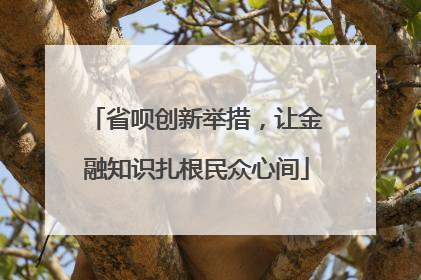 省呗创新举措，让金融知识扎根民众心间