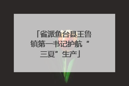 省派鱼台县王鲁镇第一书记护航“三夏”生产