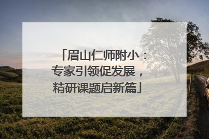 眉山仁师附小：专家引领促发展，精研课题启新篇