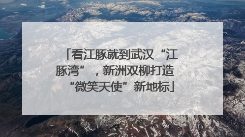 看江豚就到武汉“江豚湾”，新洲双柳打造“微笑天使”新地标