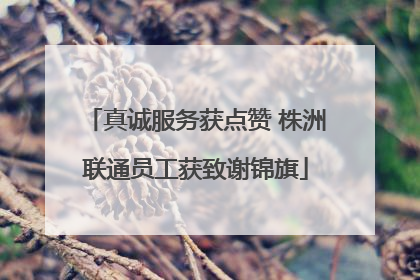 真诚服务获点赞 株洲联通员工获致谢锦旗