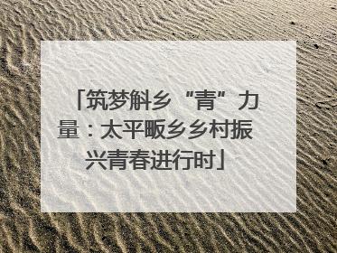 筑梦斛乡“青”力量：太平畈乡乡村振兴青春进行时