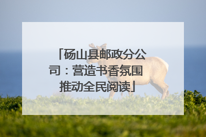 砀山县邮政分公司：营造书香氛围 推动全民阅读