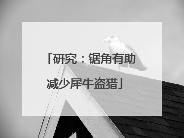 研究：锯角有助减少犀牛盗猎