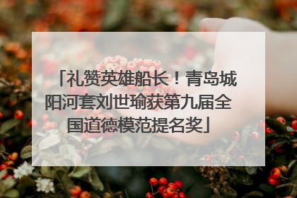 礼赞英雄船长！青岛城阳河套刘世瑜获第九届全国道德模范提名奖