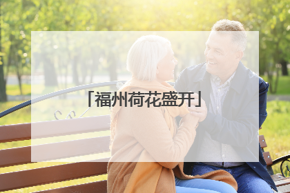 福州荷花盛开