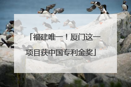 福建唯一！厦门这一项目获中国专利金奖