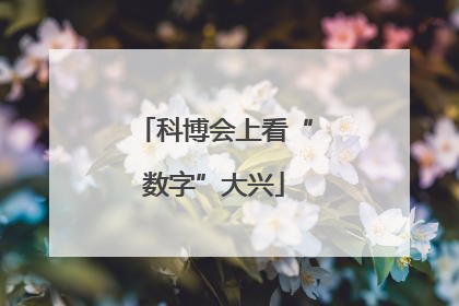 科博会上看“数字”大兴