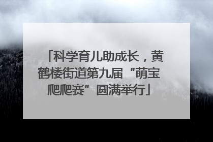科学育儿助成长，黄鹤楼街道第九届“萌宝爬爬赛”圆满举行