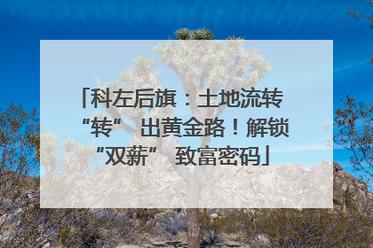 科左后旗：土地流转 “转” 出黄金路！解锁 “双薪” 致富密码