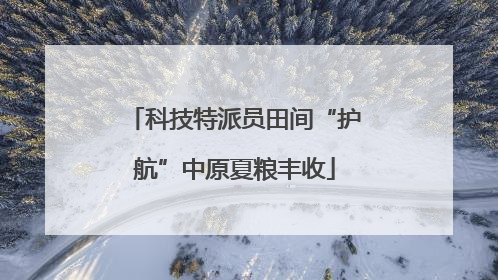科技特派员田间“护航”中原夏粮丰收
