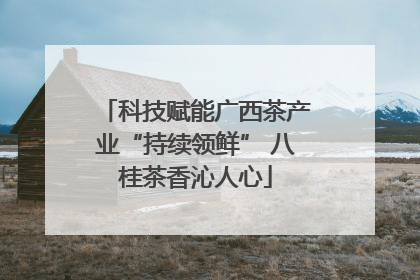 科技赋能广西茶产业“持续领鲜” 八桂茶香沁人心