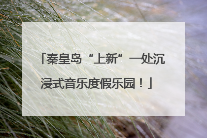 秦皇岛“上新”一处沉浸式音乐度假乐园！